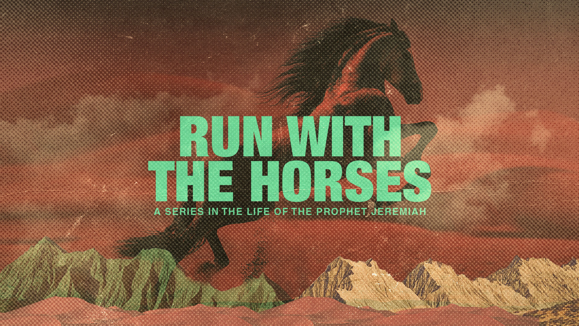 Run With The Horses